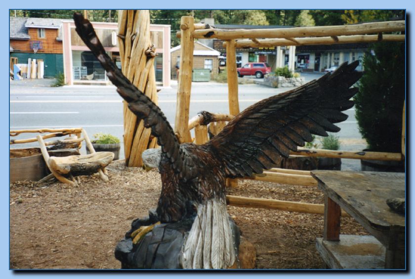 2-33 eagle with wings out, attached -archive-0002